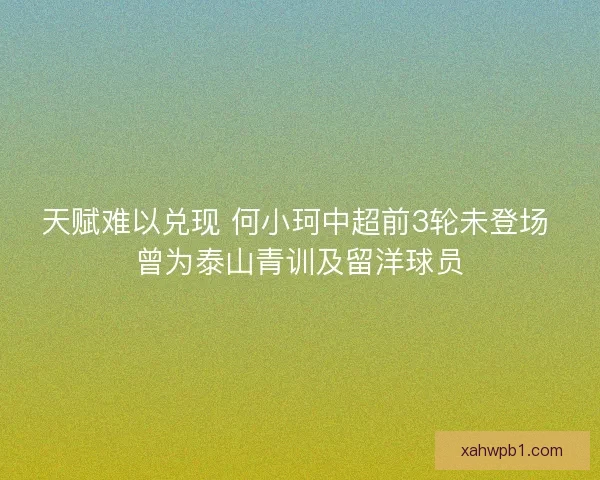 天赋难以兑现 何小珂中超前3轮未登场 曾为泰山青训及留洋球员